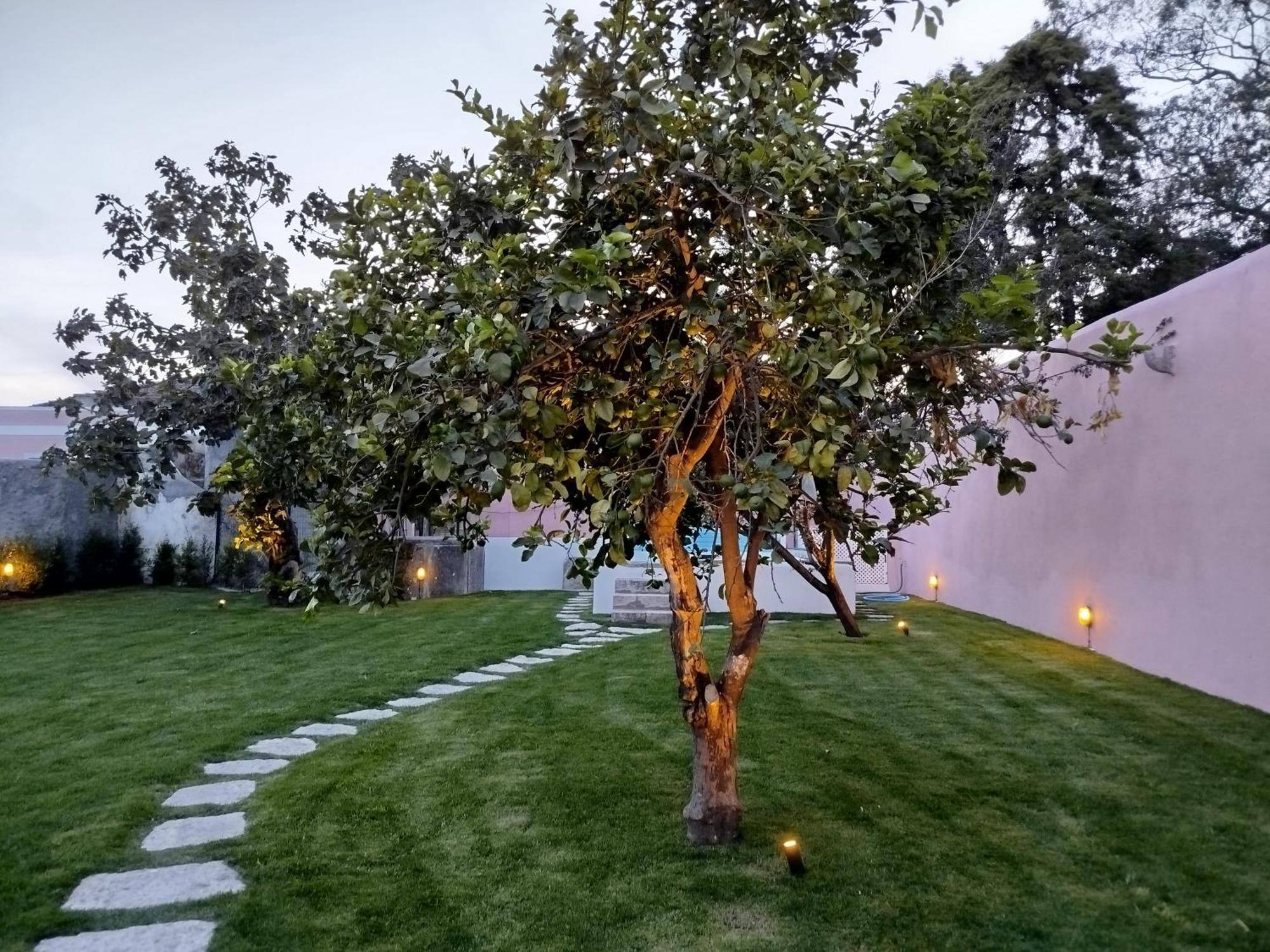 Ajuda Palace Inn Lisbon Apartments מראה חיצוני תמונה